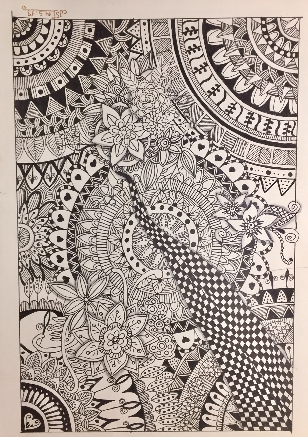 14.05.2019 - Zentangle Ornamente