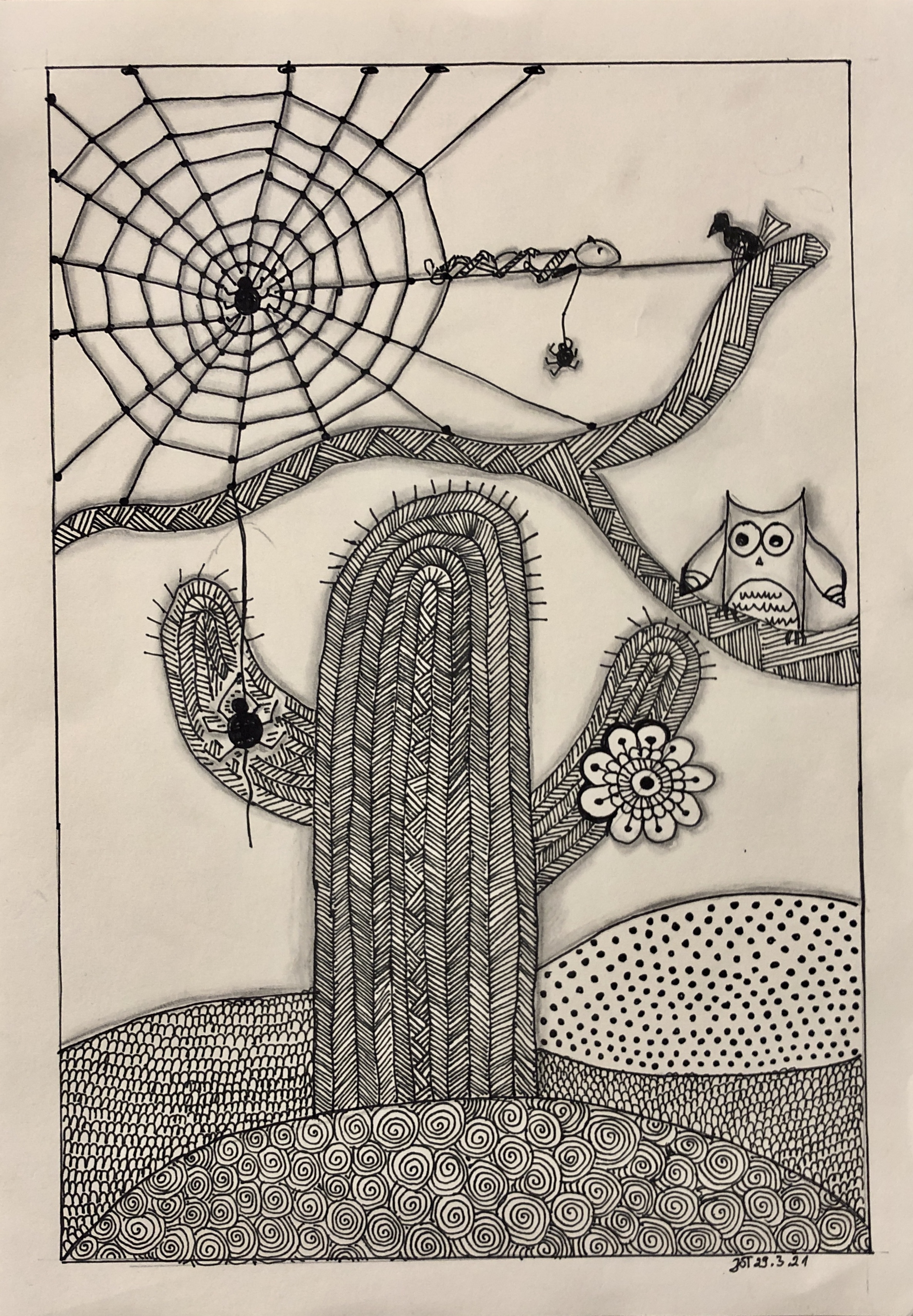 19.03.2021 - Zentangle Kaktus und Spinne
