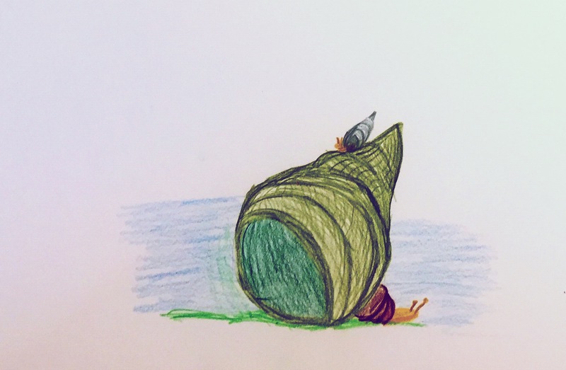 20.10.2016 Schnecke