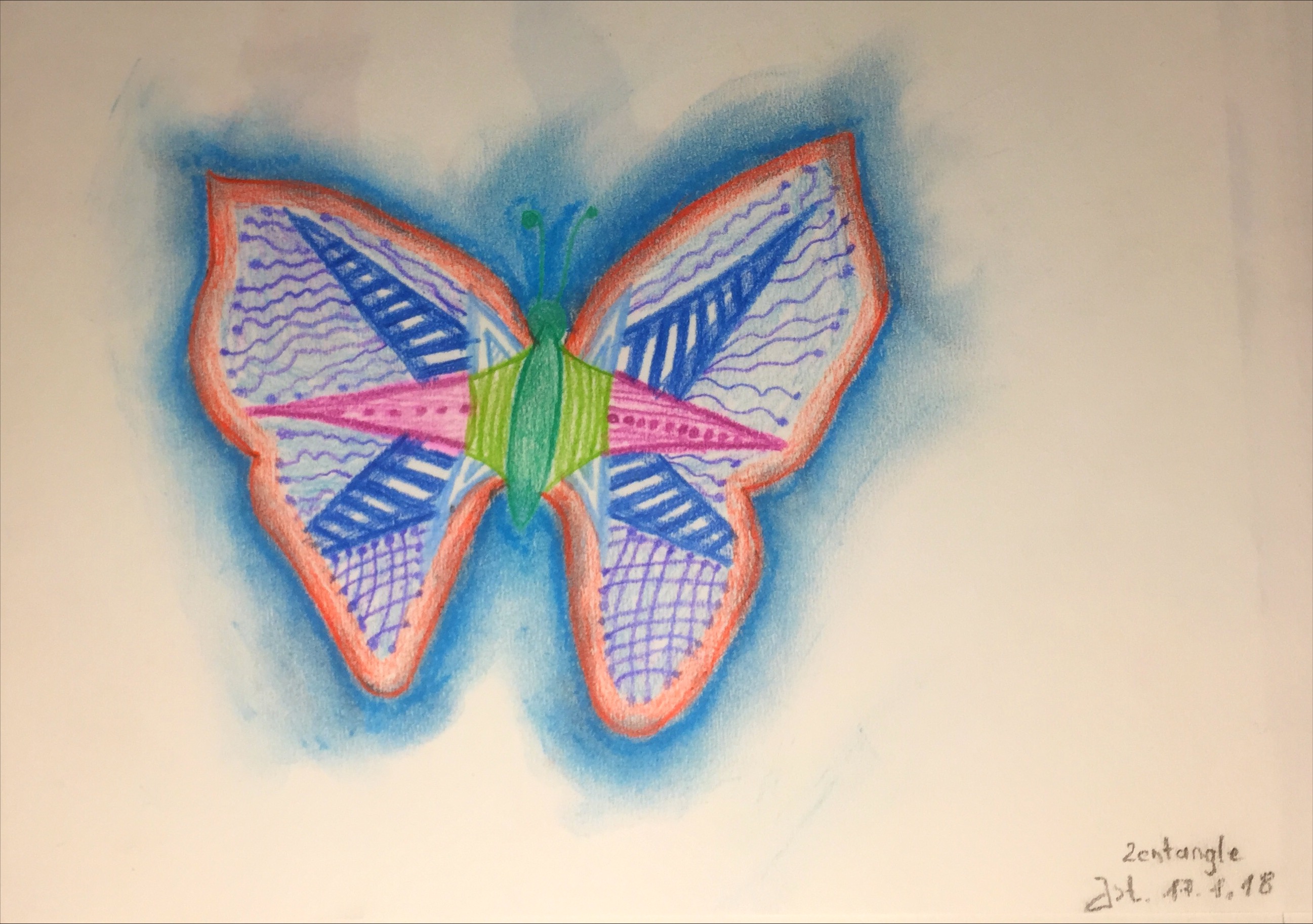 17.01.2018 Schmetterling